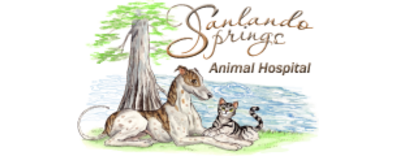 Sanlando Springs Animal Hospital-FooterLogo